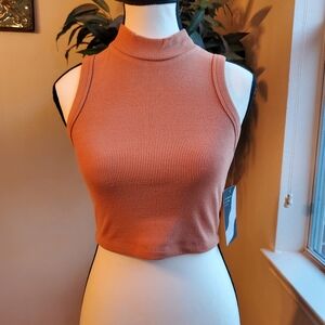 Lovepoem Sleeveless Ribbed Mock Neck Crop Top - Terracotta S